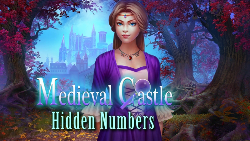 Medieval Castle Hidden Numbers